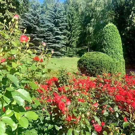 Noce I Dnie Hotel Konstancin-Jeziorna